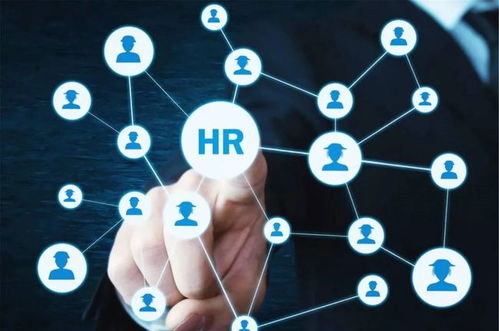 農業“新農人” 想做風口上的“智能豬”，技術開發能力不可少