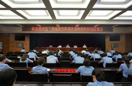 深刻檢視反思 強化整改落實——市政法隊伍教育整頓隊伍建設(shè)專項巡查反饋會召開